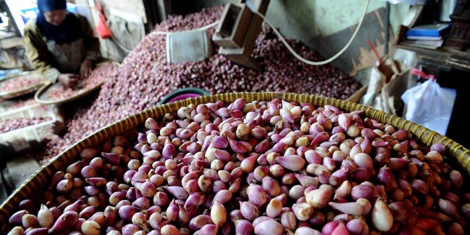 Stok aman, Kementan tahan Kemendag impor bawang merah 