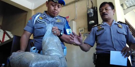 Merica diduga palsu beredar di Sleman, isinya putih seperti tepung