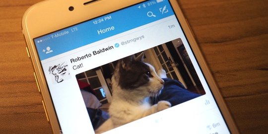 Baru, Twitter otomatis putar video di timeline