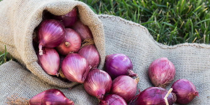 Mentan:Produksi bawang merah Bima & Brebes cukupi 