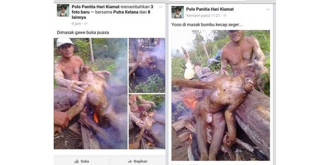 Profauna Indonesia cari pelaku pembantaian orangutan!