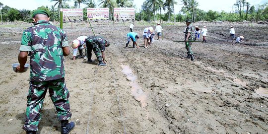 Alasan Menteri Amran ajak polisi sampai TNI terjun ke pertanian