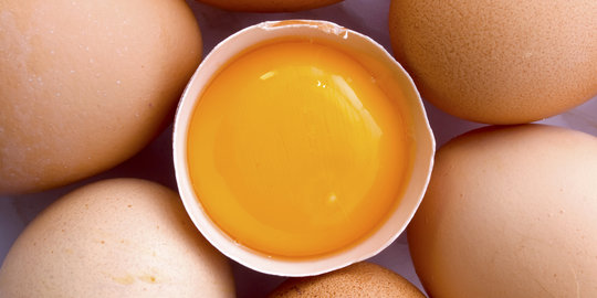 10 Alasan untuk lebih banyak makan kuning telur [Part 2]