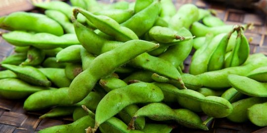 dapatkan kalsium sehat dari 4 makanan non susu ini