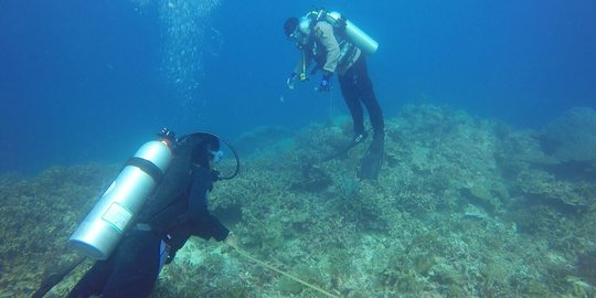 Melihat kerusakan parah terumbu karang di perairan Pangkajene