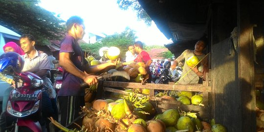 Selama Ramadan penjual kelapa muda di Aceh raup keuntungan berlipat