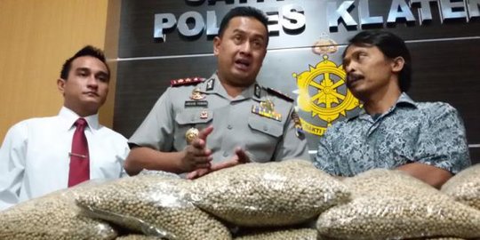 Manyul, penjual merica di Klaten tak tahu barang dagangannya palsu