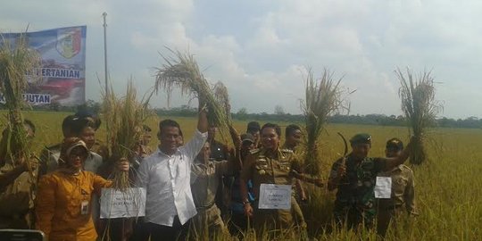 Mentan nilai keterbatasan gudang hambat pasokan pangan