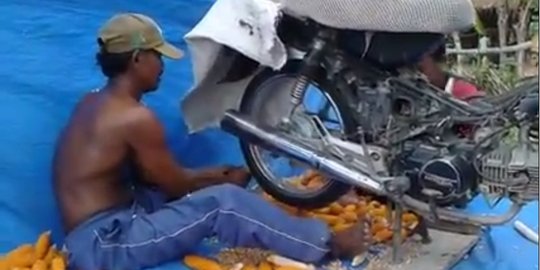 Kreatif, petani ini rontokkan jagung pakai ban belakang motor