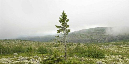 sejagat ada di swedia rev7