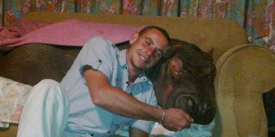 ini jadi peliharaan laiknya anjing rev2
