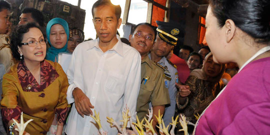 Kebijakan Jokowi ubah status Bulog tuai pujian