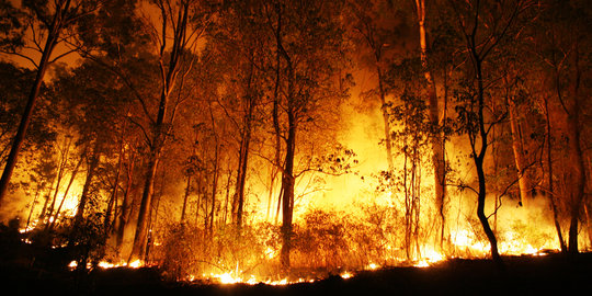 1.026 hektar hutan di Riau terbakar, 18 ton garam sudah disemai