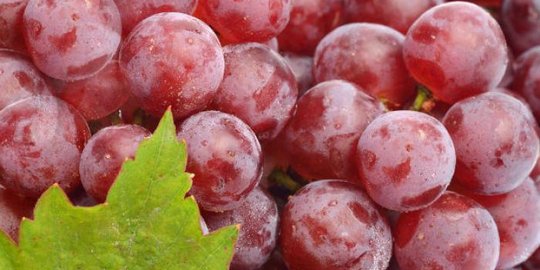 Ingin melawan depresi? Makan anggur merah!