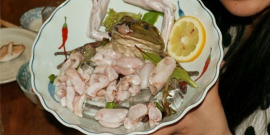 sadis, 7 masakan ini dibuat dengan menyiksa binatang