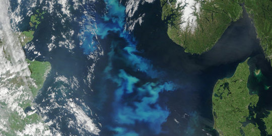 NASA jelaskan kemunculan cahaya biru yang selimuti Laut Utara