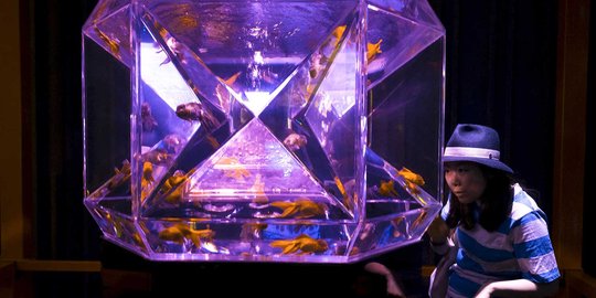 Melihat keunikan Pameran Seni Aquarium di Tokyo