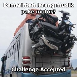 meme mudik