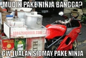 meme mudik