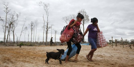 Kamp dibakar polisi, penambang liar di Peru tinggalkan Hutan Amazon