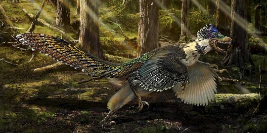Ini wujud Zhenyuanlong, dinosaurus bersayap yang ditemukan di China