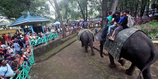 Hari ke-2 Lebaran, pengunjung Ragunan capai 64 ribu