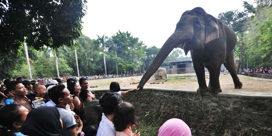 Lebaran ke-2, puluhan bocah hilang di Kebun Binatang Ragunan