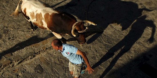 Kepanikan warga Spanyol dikejar banteng hingga lari terbirit-birit