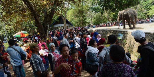 Keramaian warga Ibu Kota habiskan sisa liburan di Ragunan