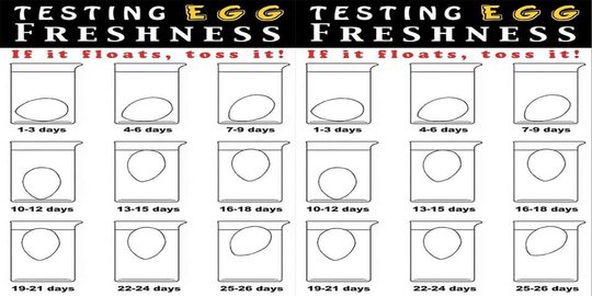 Ini tips cara bedakan telur yang bagus dan tidak