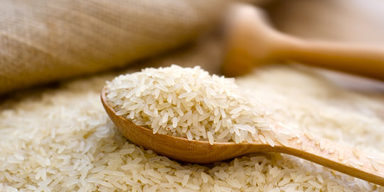 Tahun depan, beras organik Papua siap diekspor ke Mesir dan Arab