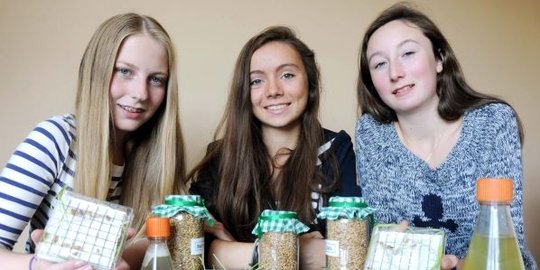 emer hickey dan sophie healy thow rev2