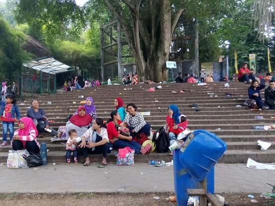 Kasihan kandang buaya di Kebun Binatang Bandung jadi bak 