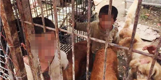 Ditinggal orangtua, dua bersaudara hidup di kandang anjing