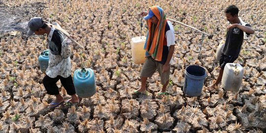 Dilanda El Nino moderate, 12 provinsi kekeringan sampai November