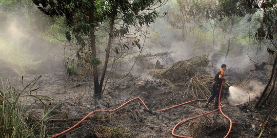 Kemarau panjang, kabut asap selimuti Pekanbaru