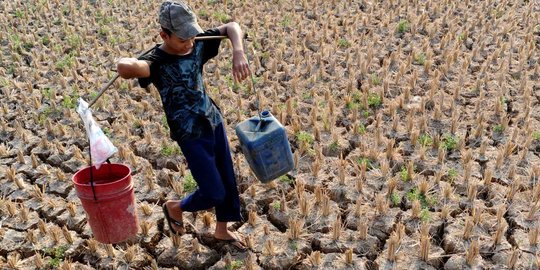 Saat rakyat terdampak kemarau