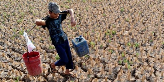 di jawa tengah alami kekeringan terparah rev1