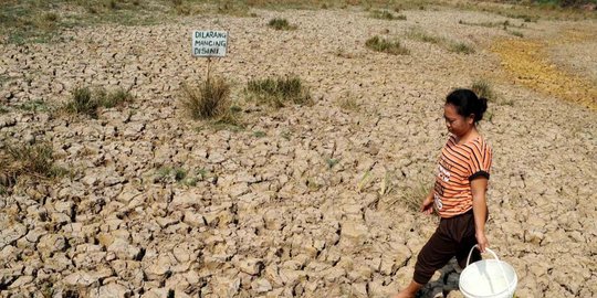 karena kemarau warga gorontalo terpaksa alih profesi rev1