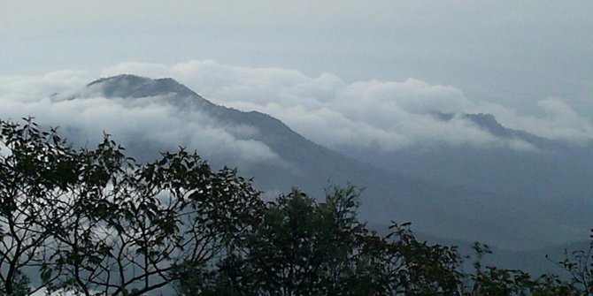 6 ABG dan 1 bocah yang hilang kontak di Gunung Lawu belum ditemukan