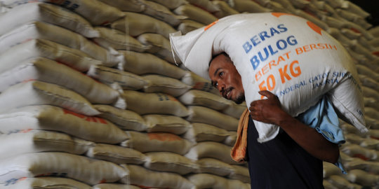 Produksi beras anjlok karena kemarau, pemerintah janji tak impor