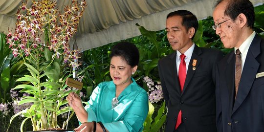 BPJS kesehatan dinyatakan haram, ini sikap Presiden Jokowi
