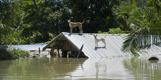 Banjir Myanmar landa area konflik Rohingya, korban tewas bertambah