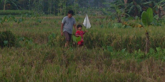 Kemarau panjang, 8.000 hektare lebih sawah di Banten terancam puso