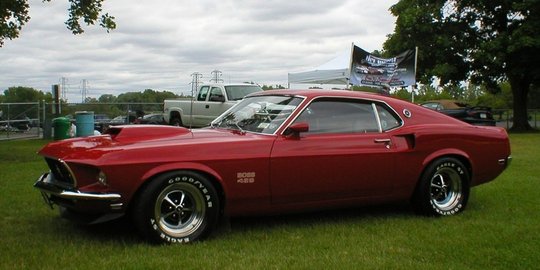 mustang