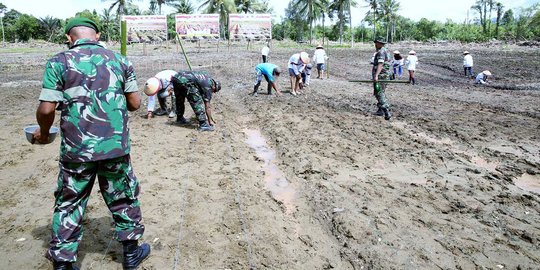 Siasati musim kemarau, petani bisa tanam kedelai