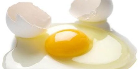 putih telur