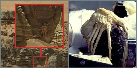 Kepiting misterius mirip alien terlihat di Mars