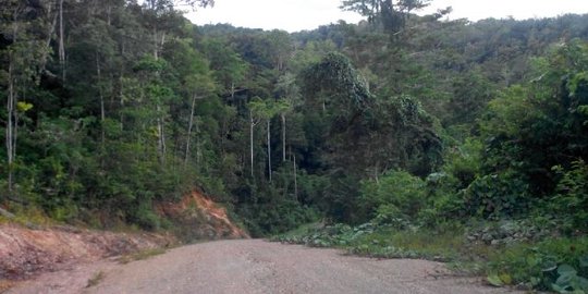 Potret buram infrastruktur Tambrauw hingga cerita hutan yang angker