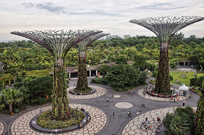 supertree groe singapura